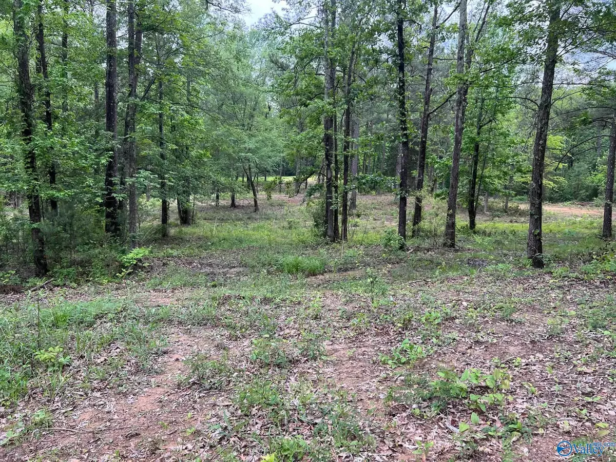 Trinity, AL 35763,Lot #2 Ghost Hill Road