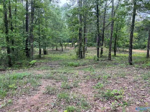 Lot #2 Ghost Hill Road, Trinity, AL 35763