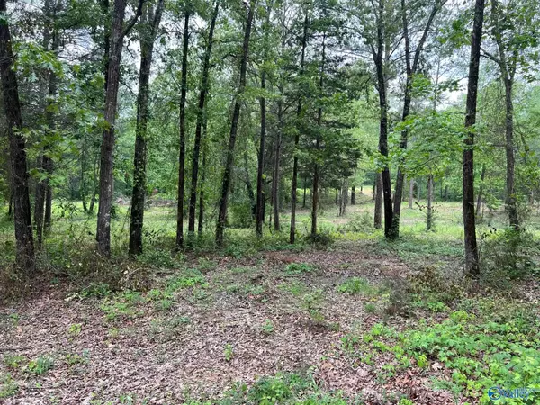 Trinity, AL 35673,Lot # 3 Ghost Hill Road