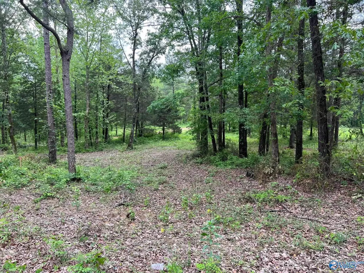 Trinity, AL 35673,Lot # 3 Ghost Hill Road