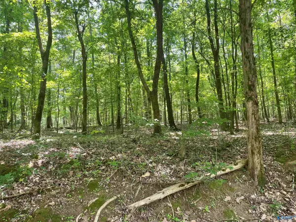 Lot 7 York Drive,  Rogersville,  AL 35652