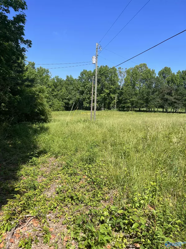 Lot 1 Holcomb Road, Guntersville, AL 35976