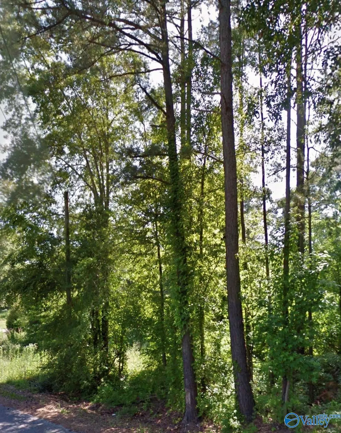 Southside, AL 35907,Lot 3 Valley Lake Drive