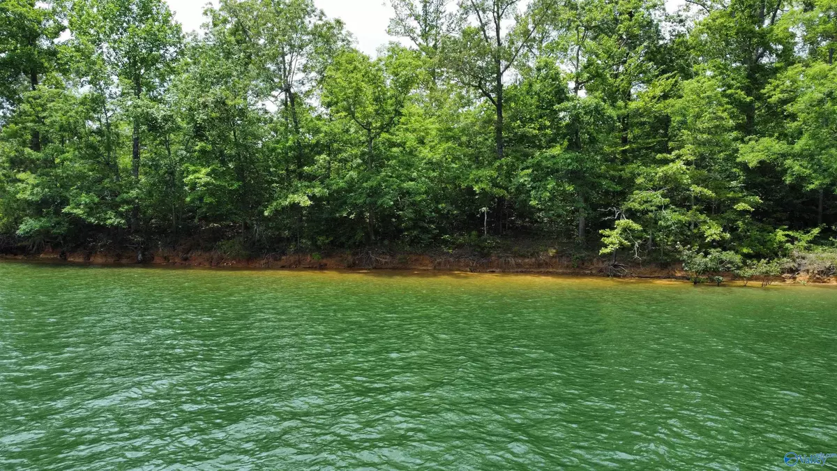 Double Springs, AL 35553,Lot 9 Edgewater Bend Road