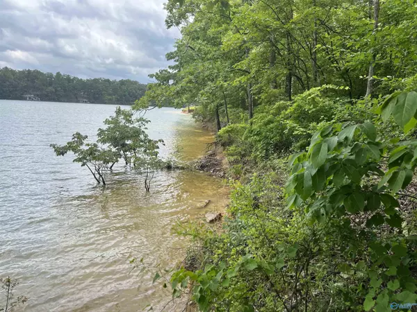 Double Springs, AL 35553,Lot 9 Edgewater Bend Road