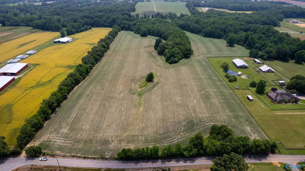 FH28Acres Buddy Williamson Road, New Market, AL 35761