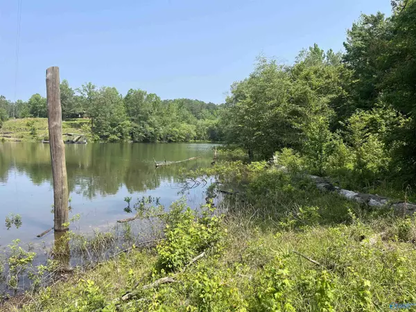 Double Springs, AL 35553,2 acres County Road 113