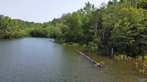 Double Springs, AL 35553,2 acres County Road 113