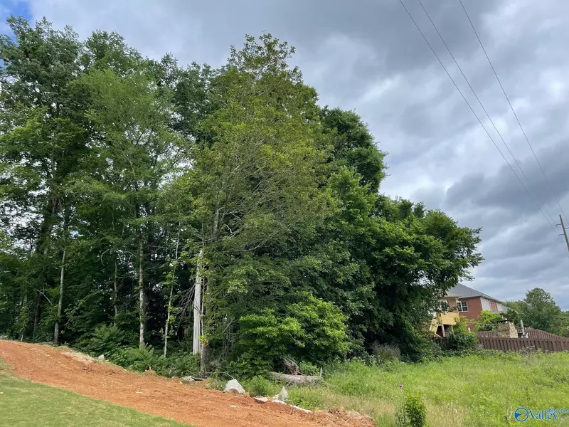 2610 Legacy Preserve Drive, Brownsboro, AL 35741