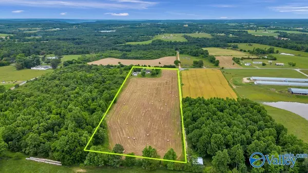 Grove Oak, AL 35975,2155 County Road 356