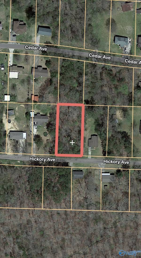 Lot 36 Hickory Avenue, Haleyville, AL 35565