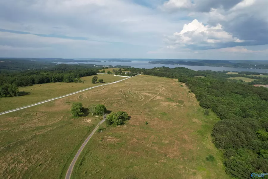 77 ACRES Martin Lane, Guntersville, AL 35976