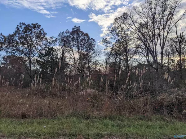 12 Roberts Road, Henagar, AL 35978