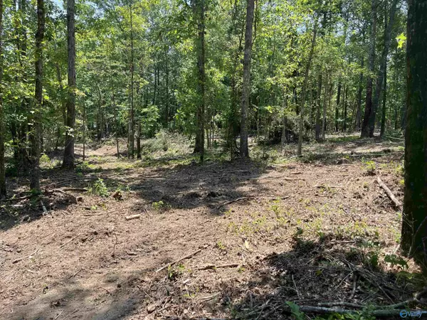 Double Springs, AL 35553,1576 Bear Branch Pl