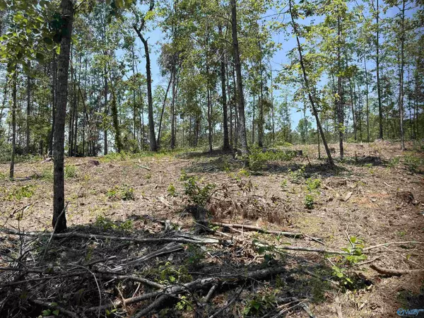 Double Springs, AL 35553,1576 Bear Branch Pl