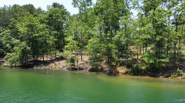 Double Springs, AL 35553,1576 Bear Branch Pl