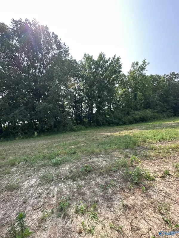 Tract 45 Hays Mill Road, Elkmont, AL 35620