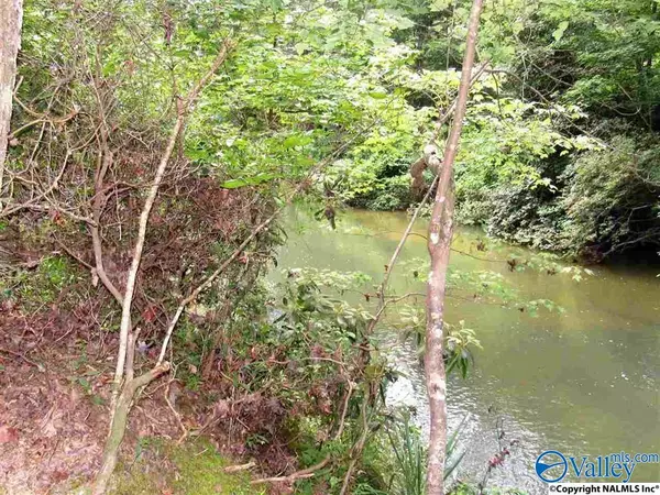 Mentone, AL 35984,3.01 Acres River Lane #28