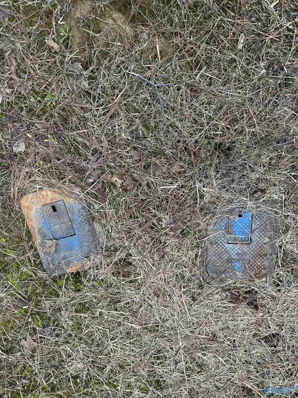 Danville, AL 35619,1 County Road 79