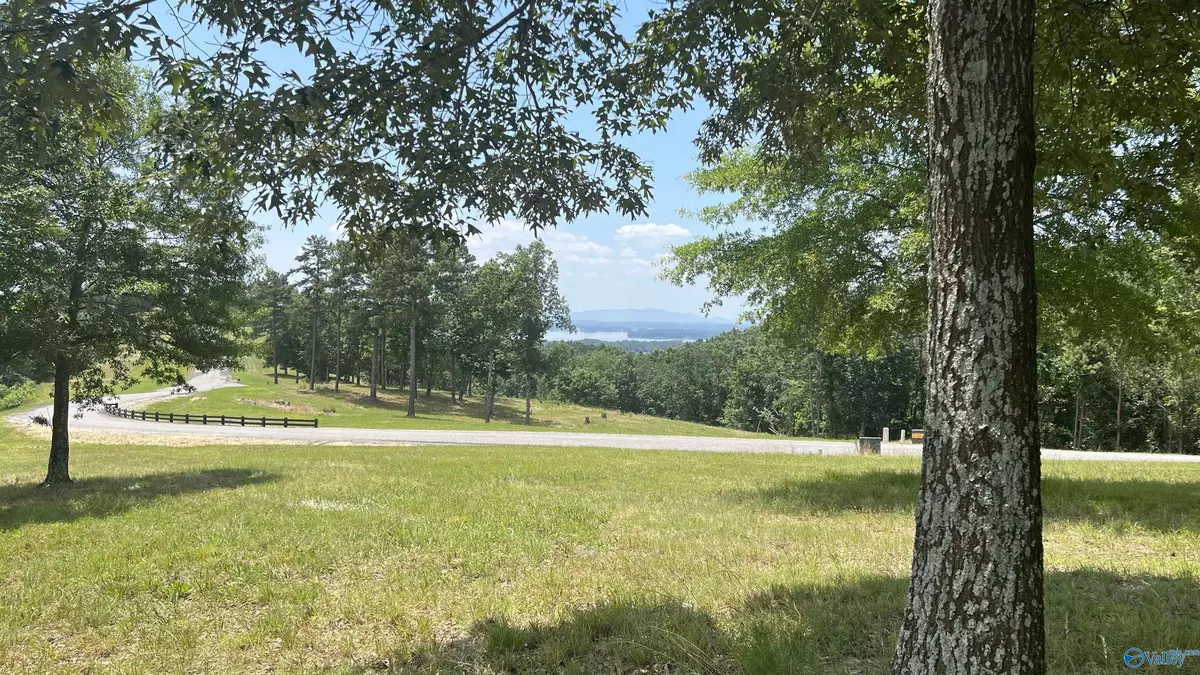 Cedar Bluff, AL 35959,Lot 70 County Road 767 ##70