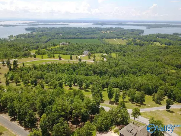 Cedar Bluff, AL 35959,Lot 70 County Road 767 ##70