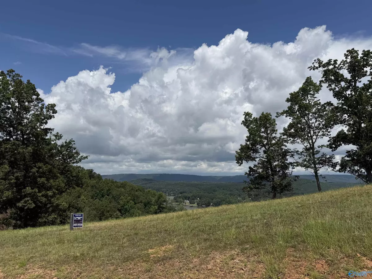 Cedar Bluff, AL 35959,Lot 213 County Road 1022 ##213