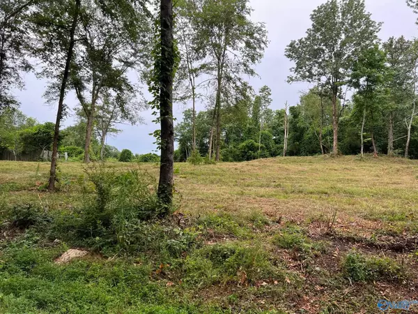 Lot 3 Cherrywood Drive, Guntersville, AL 35976