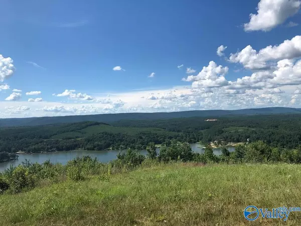 Lot 233 County Road 767 ##233, Cedar Bluff, AL 35959