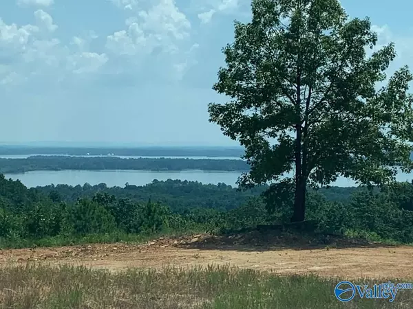 Cedar Bluff, AL 35959,Lot 308 County Road 767 ##308