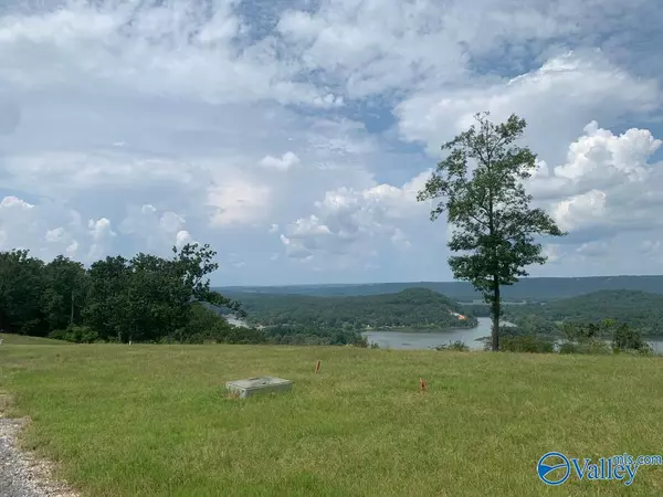Cedar Bluff, AL 35959,Lot 312 County Road 767 ##312