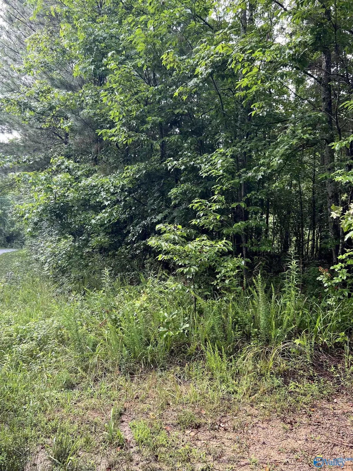 Henagar, AL 35978,1.14ac Highway 75