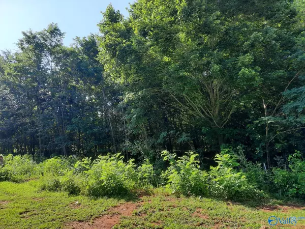 LOT 120 Lookout Mountain Drive, Scottsboro, AL 35769