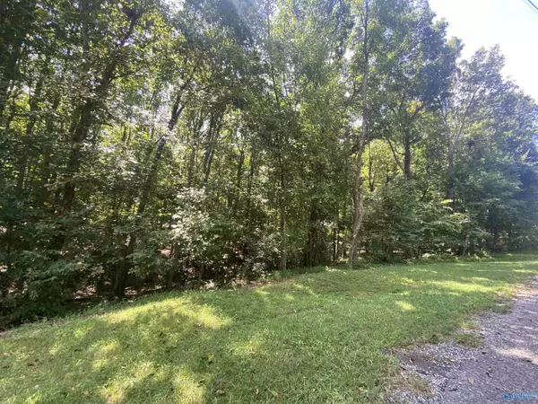 Lot 3 and Lot 2 County Road 66, Fort Payne, AL 35967