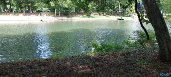 Cedar Bluff, AL 35959,Lot 6 County Road 137