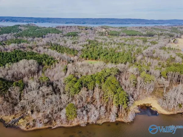 Langston, AL 35755,Lot 21 South Sauty Road