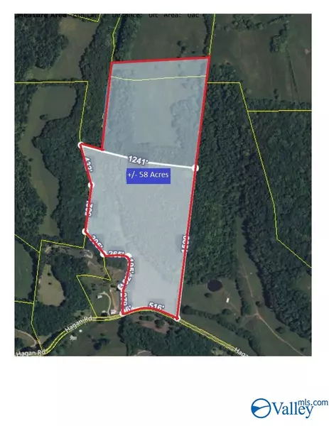 58 Acres Hagan Road, Prospect, TN 38477