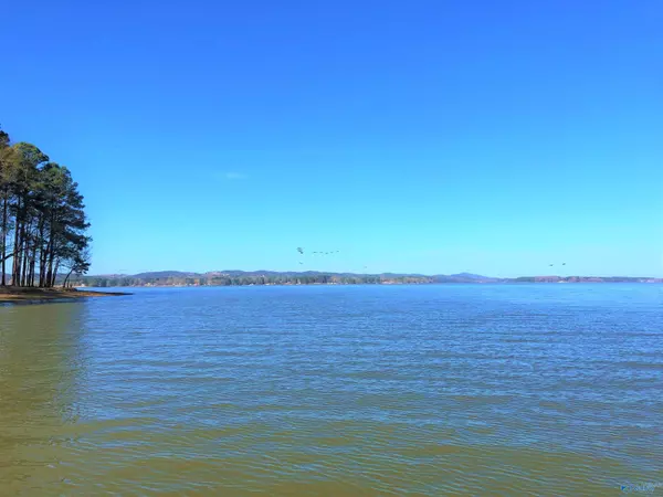 Lot 2 Little River Landing, Cedar Bluff, AL 35959