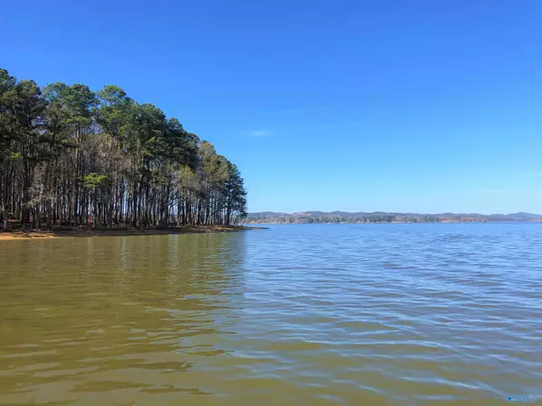 Cedar Bluff, AL 35959,Lot 2 Little River Landing