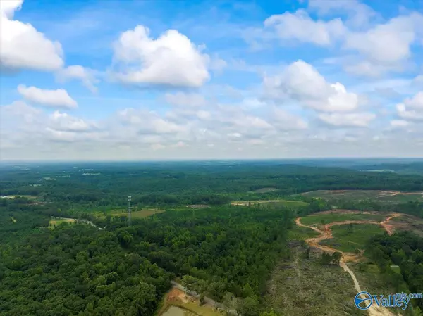 Moulton, AL 35650,10 Acres Al Hwy 33