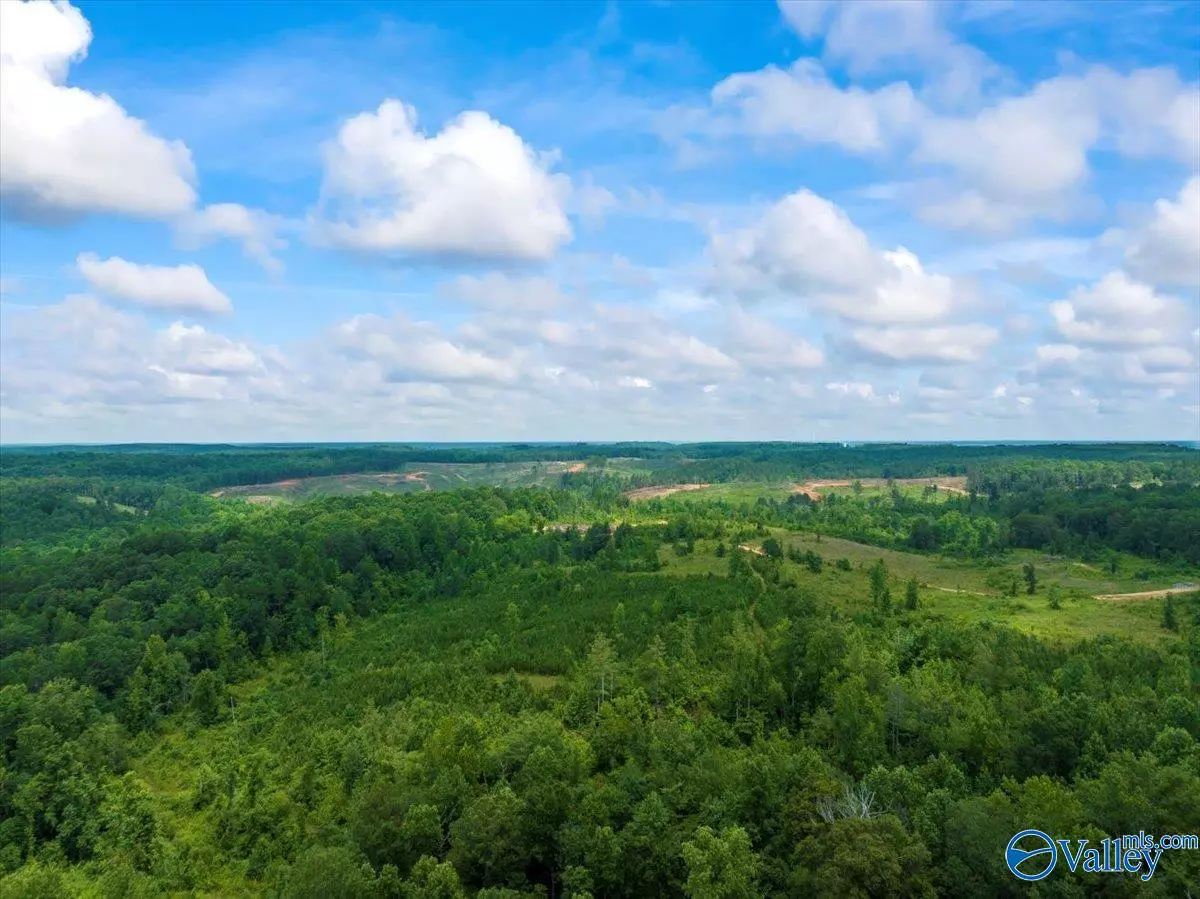 Moulton, AL 35650,10 Acres Al Hwy 33