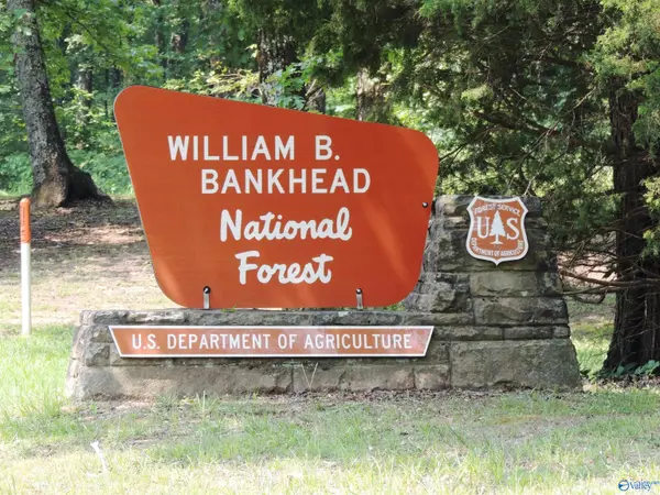 22.4 ACRES County Road 9, Moulton, AL 35650