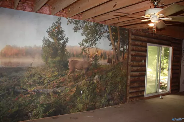 Hollytree, AL 35751,A 507 County Road