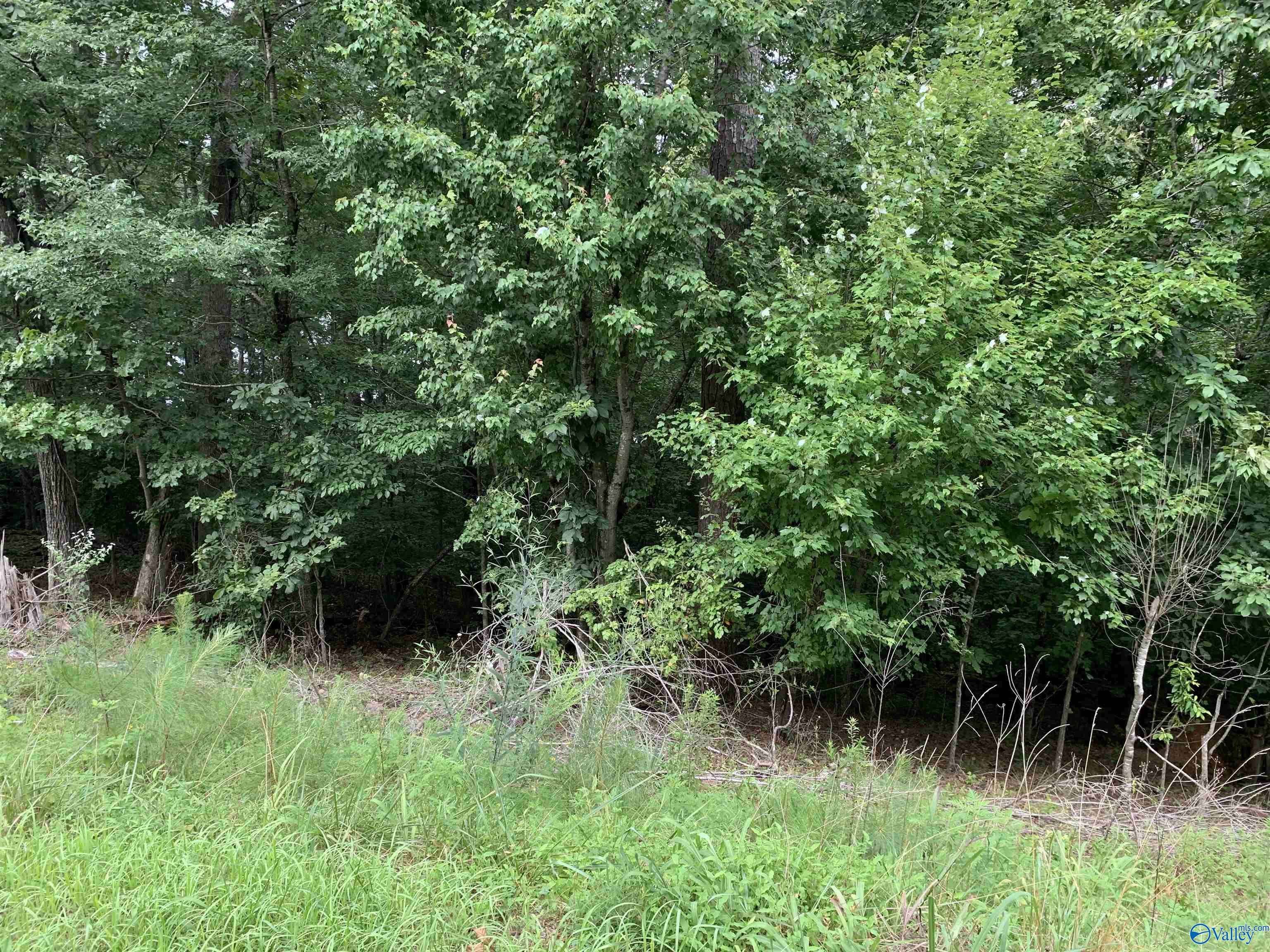 LOT #2 Lakeshore Drive, Oneonta, AL 35121