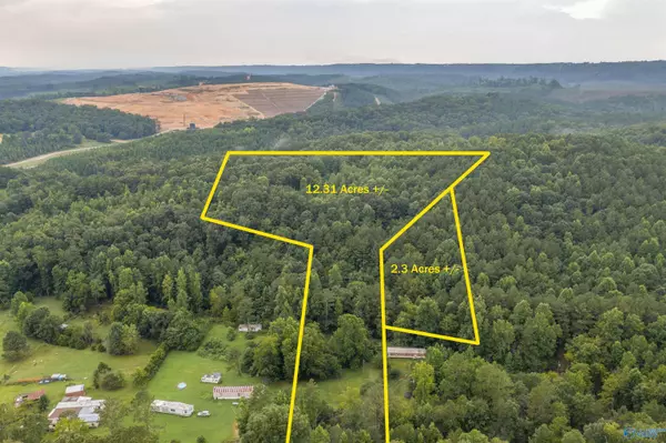 14 AC County Road 212, Collinsville, AL 35961