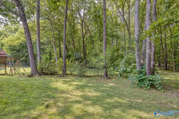 Toney, AL 35773,290 Mccutcheon Lane