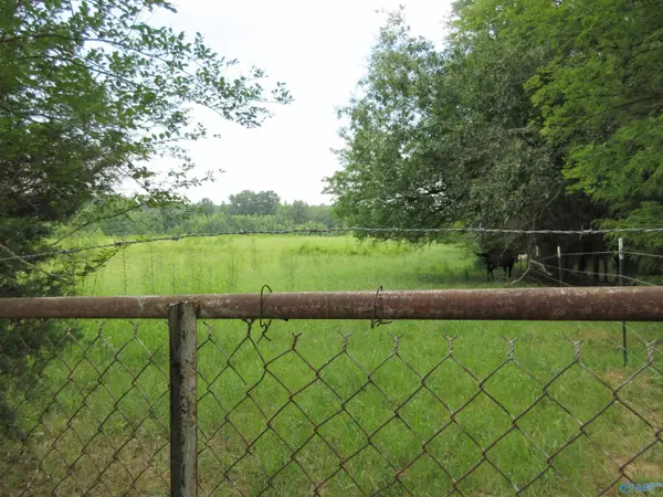 Langston, AL 35755,44 John Cabaniss Road