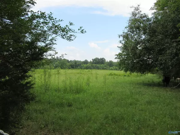 Langston, AL 35755,44 John Cabaniss Road