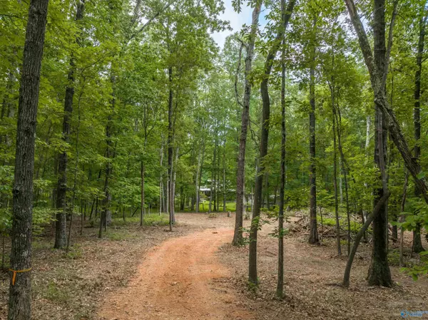 17680 County Road 89, Mentone, AL 35984