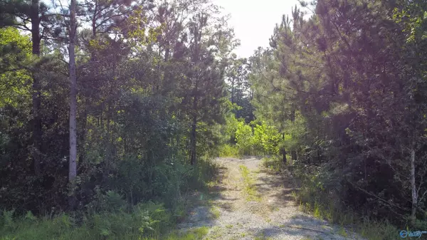 Lot 7 Hiawatha Place, Rainbow City, AL 35906