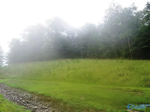 Double Springs, AL 35553,Lot 120 Stoney Point Road